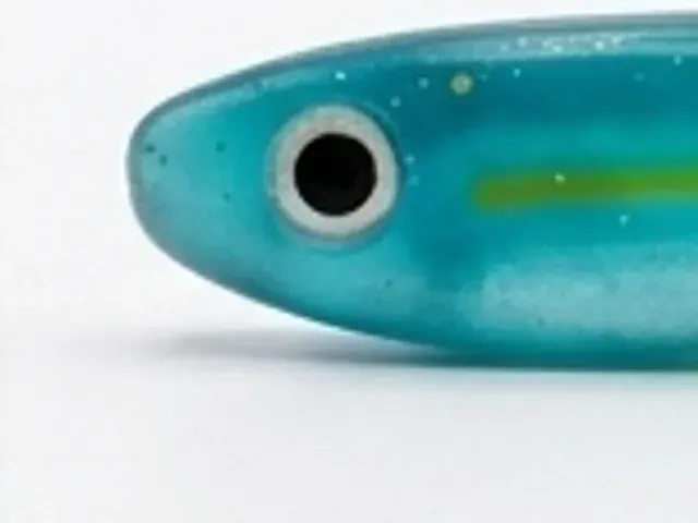 Gros plan sur l'œil surdimensionné du leurre, coloris Bleu.